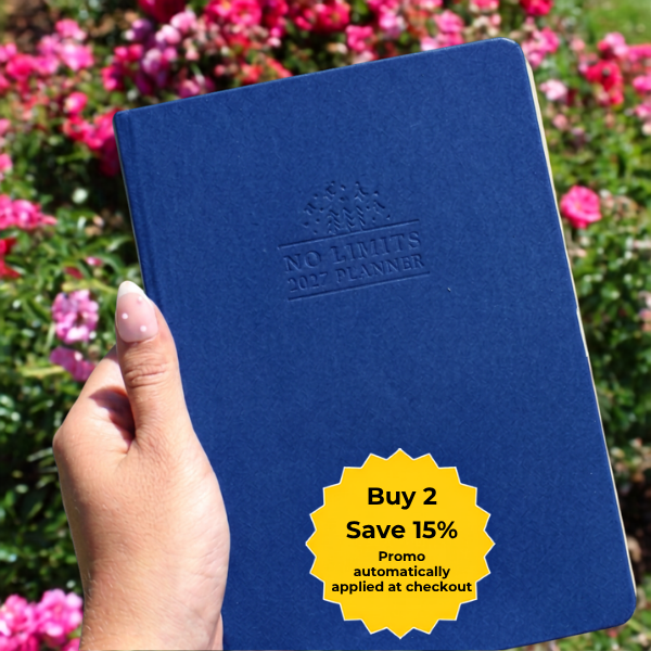 PRE-ORDER 2027 Weekly No Limits Planner - Bright Beta Co.
