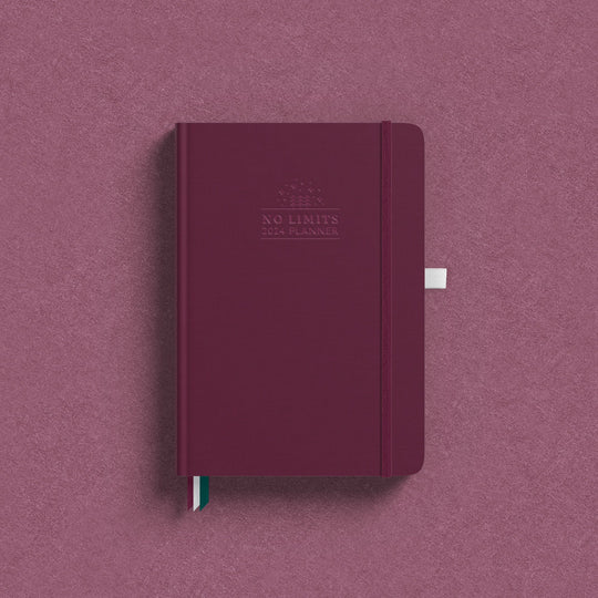 2024 Weekly No Limits Planner (PREORDER) - Bright Beta Co.